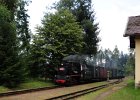 2020.07.19 JHMD U46.101 Jindřichův Hradec - Nová Bystřice (14)